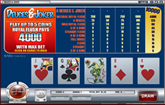 Box24 Video Poker